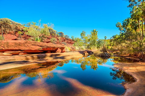 7-Day Guided Tour Of Alice Springs With Accommodation Included - Australian Directory 1