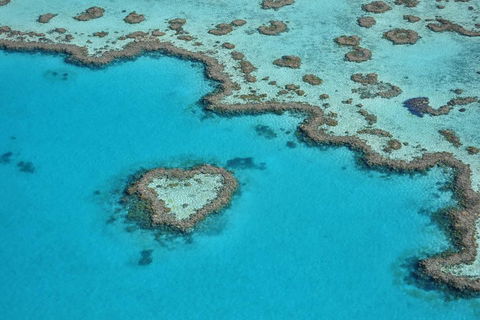 Reef And Island Scenic Flight From Airlie Beach - Australian Directory 5