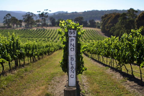 The Ultimate Yarra Valley Food And Wine Small Group Tour (Max 6 Guests) - Australian Directory 2