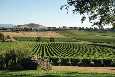 Small Group 6 Guests: Ultimate Yarra Valley Food And Wine - Mercedes Van - Australian Directory 4