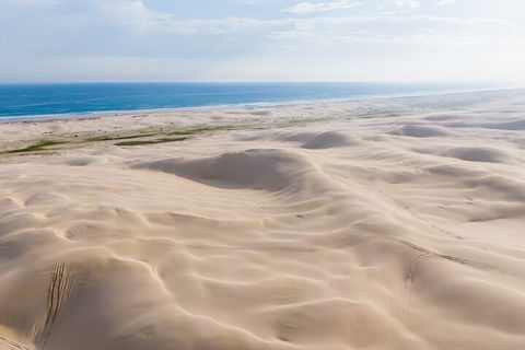 Port Stephens Bush, Beach And Sand Dune 4WD Passenger Tour - Australian Directory 2
