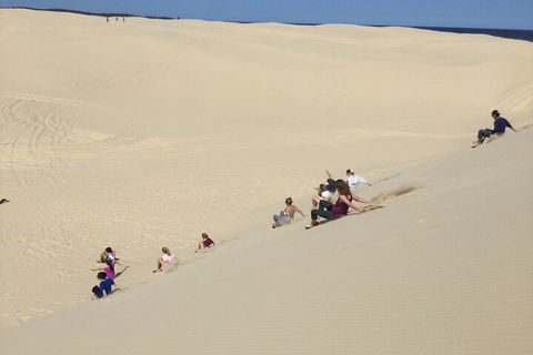 Port Stephens Bush, Beach And Sand Dune 4WD Passenger Tour - Australian Directory 4