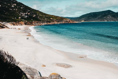 Small Group - Wilsons Promontory Hiking Day Tour From Melbourne - Australian Directory 2