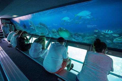 Great Barrier Reef Day Cruise To Reefworld - Australian Directory 0