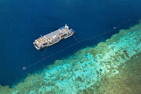 Great Barrier Reef Day Cruise To Reefworld - Australian Directory 2