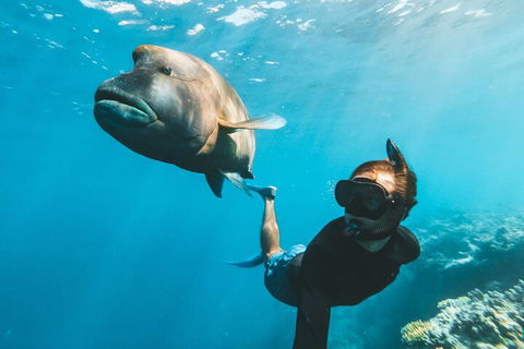 Great Barrier Reef Day Cruise To Reefworld - Australian Directory 3