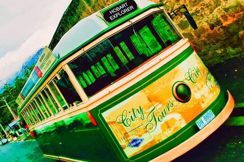Hobart Half-Day Sightseeing Coach Tram Tour - Australian Directory 5