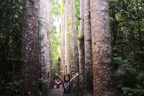 Private Tour To Paronella Park, Historic Village Herberton And Wild Life Wallaby - Australian Directory 2