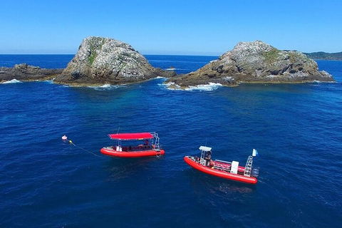 3-Hour Byron Bay Certified Scuba Diving Tour - Australian Directory 0