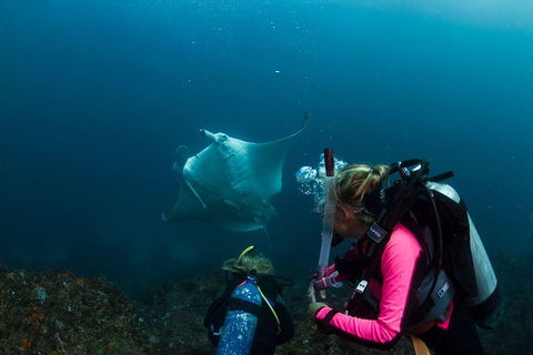 3-Hour Byron Bay Certified Scuba Diving Tour - Australian Directory 2