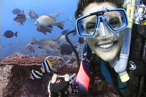 3-Hour Byron Bay Certified Scuba Diving Tour - Australian Directory 5