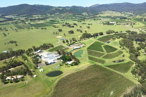 Helicopter Tour Of Hunter Valley In New South Wales With Lunch - Australian Directory 4
