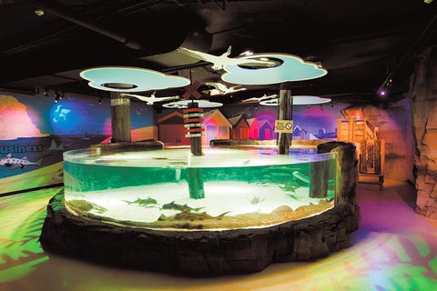 SEA LIFE Melbourne Aquarium Admission Ticket - Australian Directory 5
