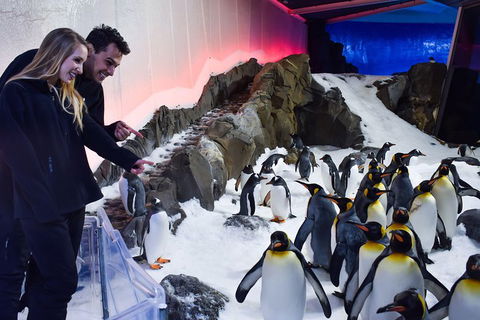 Penguin Passport At SEA LIFE Melbourne Aquarium - Australian Directory 0