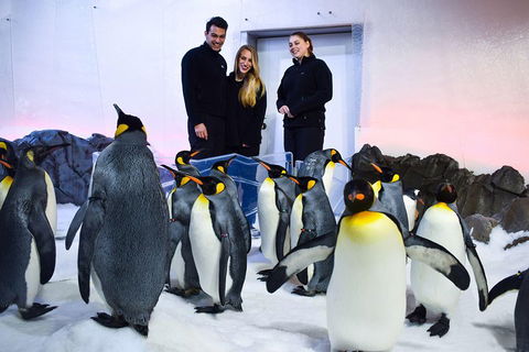 Penguin Passport At SEA LIFE Melbourne Aquarium - Australian Directory 4