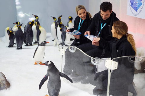 Penguin Passport At SEA LIFE Melbourne Aquarium - Australian Directory 5