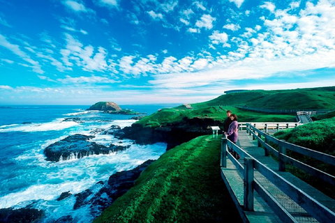 Melbourne Combo: Great Ocean Road + Phillip Island Express + Attraction Pass - Australian Directory 1