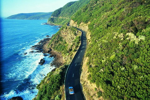 Melbourne Combo: Great Ocean Road + Phillip Island Express + Attraction Pass - Australian Directory 4