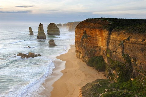 Melbourne Combo: Great Ocean Road + Phillip Island Express + Attraction Pass - Australian Directory 5