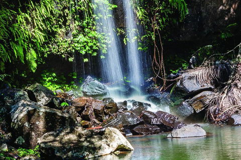 Full Day Small Group Luxury Tour To Tamborine Mountain - Australian Directory 0