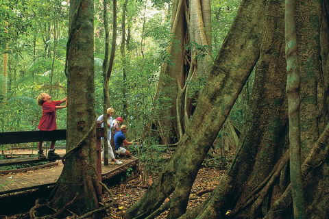 Full Day Small Group Luxury Tour To Tamborine Mountain - Australian Directory 1