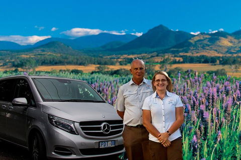 Full Day Small Group Luxury Tour To Tamborine Mountain - Australian Directory 3