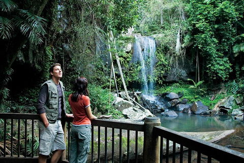 Full Day Small Group Luxury Tour To Tamborine Mountain - Australian Directory 4