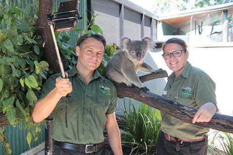 Virtual Interactive Australian Wildlife Tour With Private Guide-Wildlife Habitat - Australian Directory 0