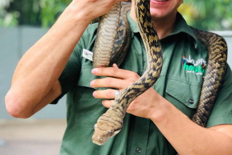 Virtual Interactive Australian Wildlife Tour With Private Guide-Wildlife Habitat - Australian Directory 1