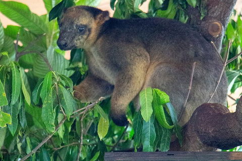 Virtual Interactive Australian Wildlife Tour With Private Guide-Wildlife Habitat - Australian Directory 4