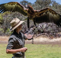 One Day Kangaroo Island Sip  See tour with return ferry transfers from Adelaide - Australian Directory