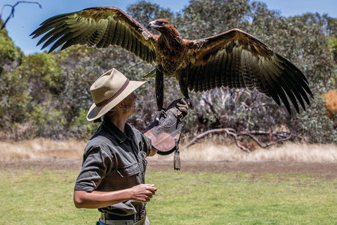 One Day Kangaroo Island Sip & See Tour With Return Ferry Transfers From Adelaide - Australian Directory 0