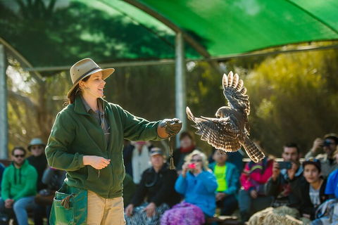 Full Day Kangaroo Island Sip And See Tour Departing From Kangaroo Island - Australian Directory 1