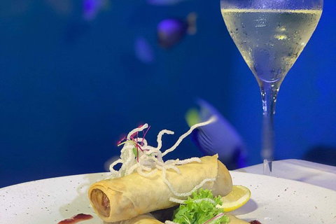 Cairns Aquarium And Small Group City Sightseeing Tour - Australian Directory 5