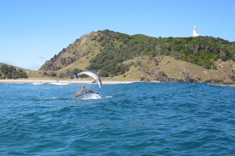 Kayaking With Dolphins In Byron Bay Guided Tour - Australian Directory 0