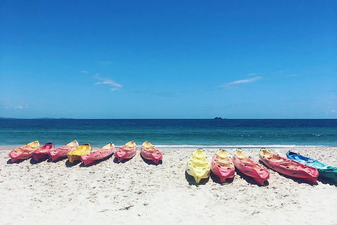 Kayaking With Dolphins In Byron Bay Guided Tour - Australian Directory 1