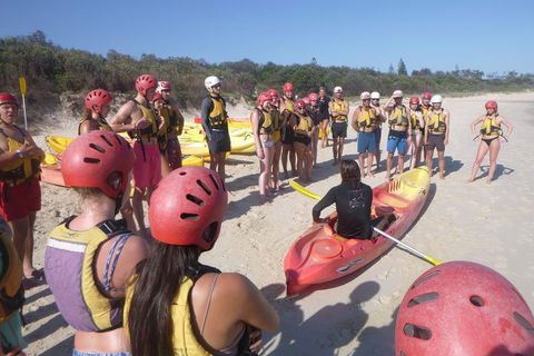 Kayaking With Dolphins In Byron Bay Guided Tour - Australian Directory 2