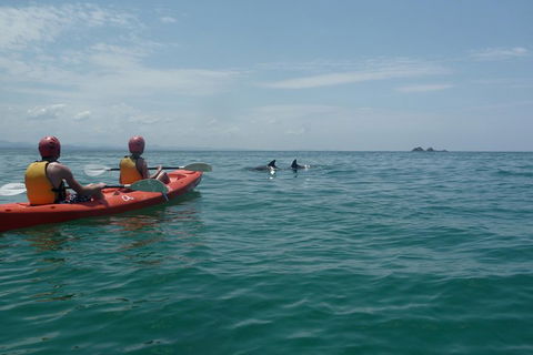 Kayaking With Dolphins In Byron Bay Guided Tour - Australian Directory 4