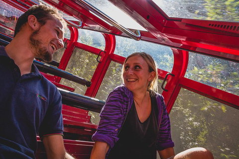 Blue Mountains Hop-on Hop-off Tour With Optional Scenic World Rides - Australian Directory 5