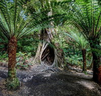 Adelaide to Melbourne 3-Day Trip through Grampians and Great Ocean Road - Australian Directory