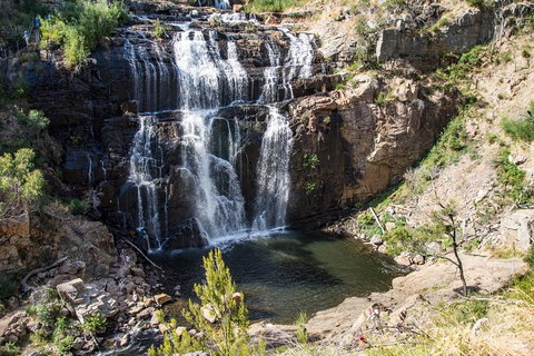 Grampians National Park With Kangaroos And MacKenzie Falls From Melbourne - Australian Directory 1
