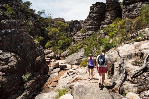 Grampians National Park With Kangaroos And MacKenzie Falls From Melbourne - Australian Directory 3
