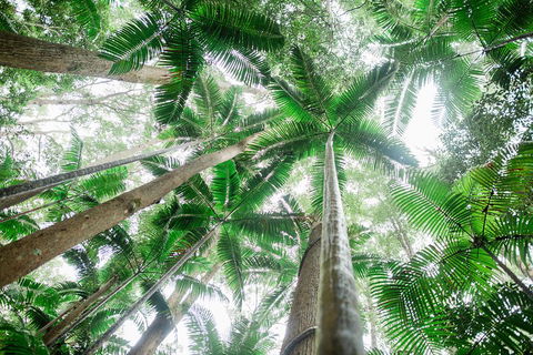 Fraser Explorer K'gari 2-Day Tour - Australian Directory 2