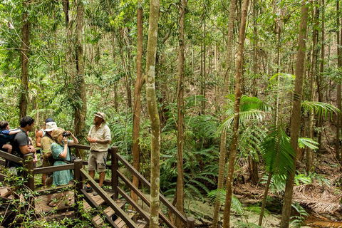 Fraser Explorer K'gari 2-Day Tour - Australian Directory 5