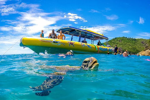 Great Barrier Reef Scenic Flight And Ocean Rafting Whitehaven Beach Day Trip - Australian Directory 1