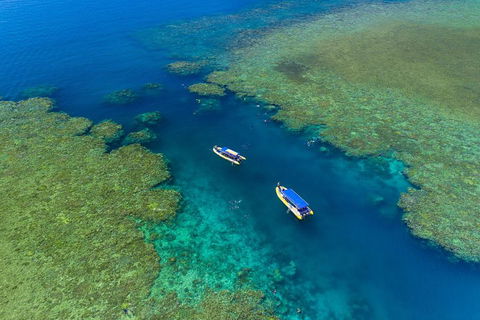 Great Barrier Reef Scenic Flight And Ocean Rafting Whitehaven Beach Day Trip - Australian Directory 4