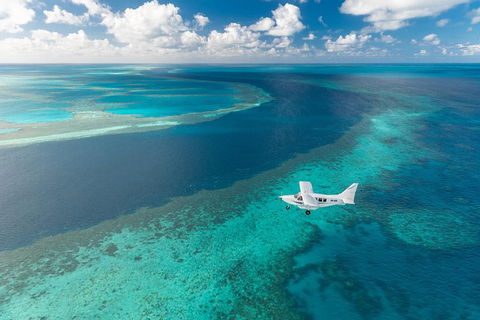 Scenic Flight - Great Barrier Reef, Heart Reef, Whitehaven Beach & Hill Inlet! - Australian Directory 3