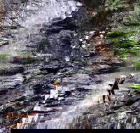 Full-Day Canyoning Experience at Stunning Empress Canyon - Australian Directory