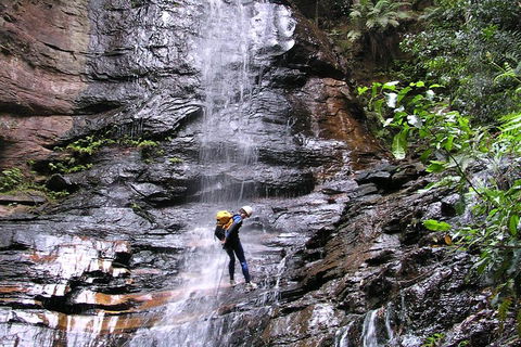Full-Day Canyoning Experience At Stunning Empress Canyon - Australian Directory 0
