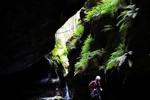 Full-Day Canyoning Experience At Stunning Empress Canyon - Australian Directory 2